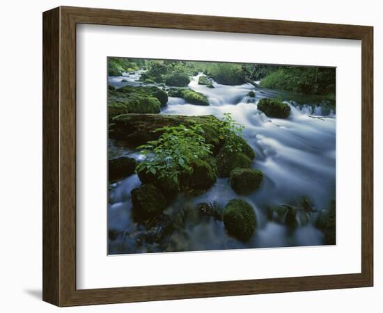 Greer Spring, Ozark National Scenic Riverways, Missouri, USA-Charles Gurche-Framed Photographic Print