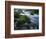 Greer Spring, Ozark National Scenic Riverways, Missouri, USA-Charles Gurche-Framed Photographic Print