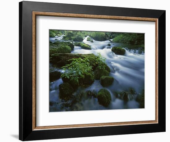 Greer Spring, Ozark National Scenic Riverways, Missouri, USA-Charles Gurche-Framed Photographic Print