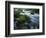 Greer Spring, Ozark National Scenic Riverways, Missouri, USA-Charles Gurche-Framed Photographic Print