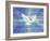 Greeting Card - Dove with the Word Peace in Different Languages-null-Framed Art Print