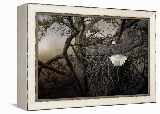 Greeting Mama-Jai Johnson-Framed Premier Image Canvas