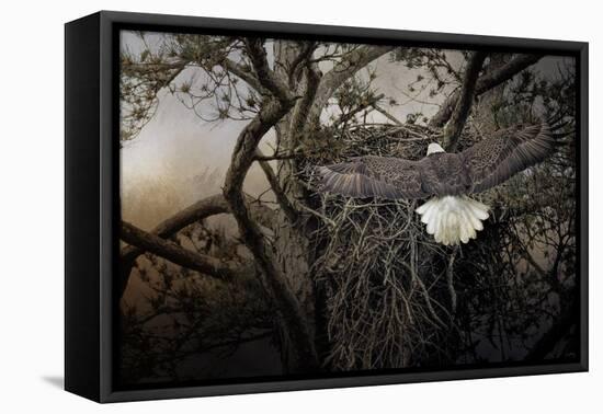 Greeting Mama-Jai Johnson-Framed Premier Image Canvas