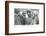 'Greeting Maori Guides', 1927 (1937)-Unknown-Framed Photographic Print