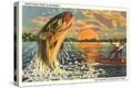 Stretched Canvas Print