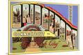 Premium Giclee Print