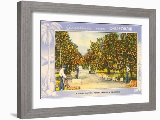 Greetings from California, Orange Grove-null-Framed Art Print