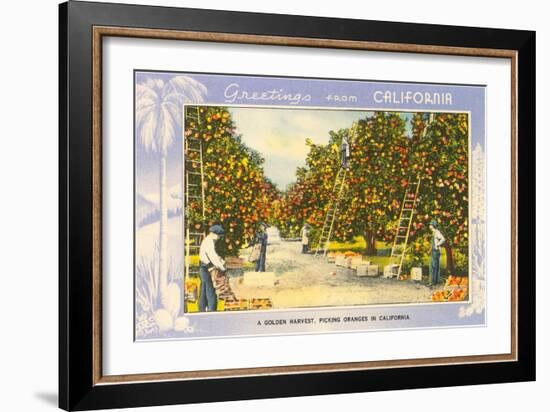 Greetings from California, Orange Grove-null-Framed Art Print