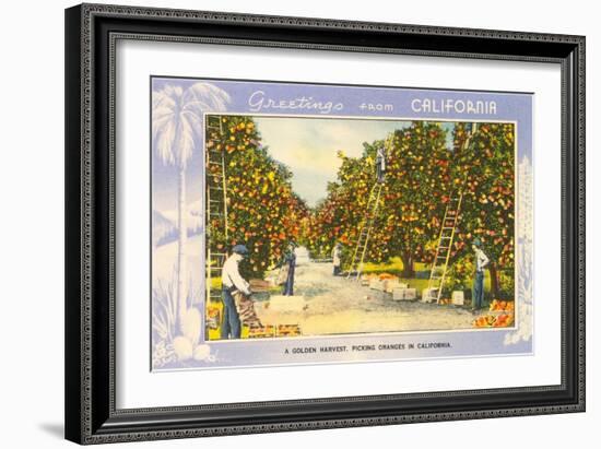 Greetings from California, Orange Grove-null-Framed Art Print