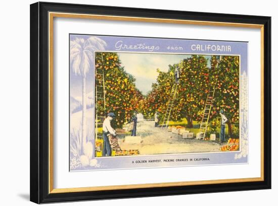 Greetings from California, Orange Grove-null-Framed Art Print