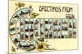 Premium Giclee Print