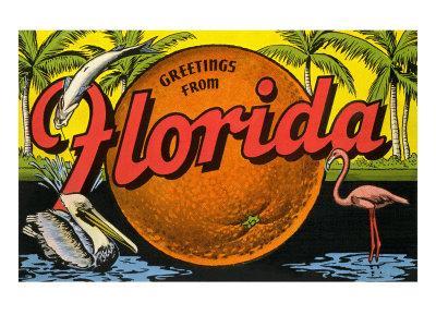 'Greetings from Florida' Art Print | Art.com