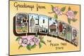 Giclee Print