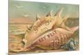 Premium Giclee Print
