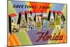 Greetings from Lakeland, Florida-null-Mounted Art Print