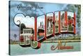 Stretched Canvas Print