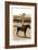 Greetings from Montana, Little Girl Roping on Pony-null-Framed Art Print