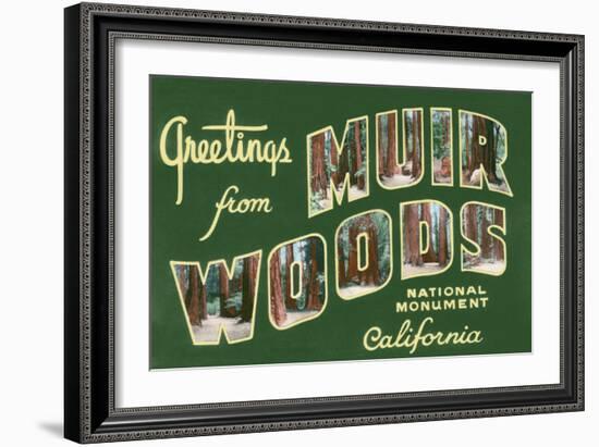 Greetings from Muir Woods National Monument, California-Lantern Press-Framed Art Print