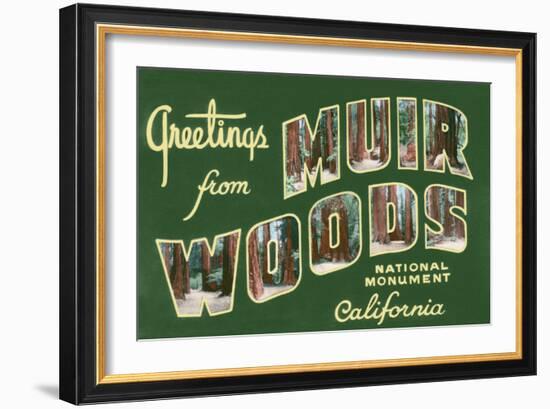 Greetings from Muir Woods National Monument, California-Lantern Press-Framed Art Print