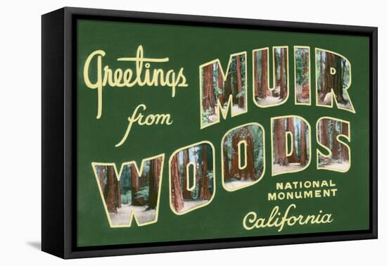 Greetings from Muir Woods National Monument, California-Lantern Press-Framed Stretched Canvas