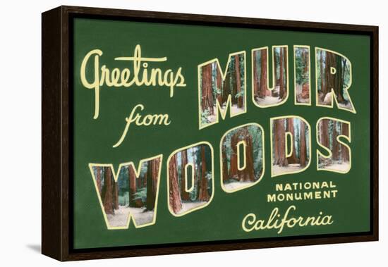 Greetings from Muir Woods National Monument, California-Lantern Press-Framed Stretched Canvas