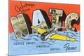 Premium Giclee Print