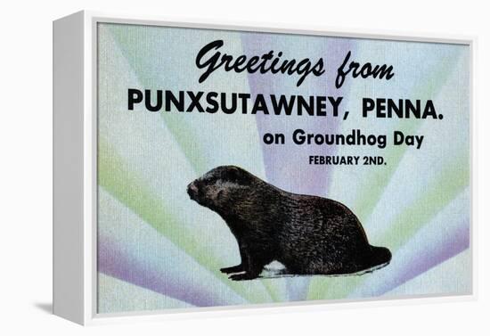 Greetings From Punxsutawney, Penna On Groundhog Day-Curt Teich & Company-Framed Stretched Canvas
