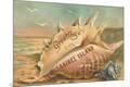 Premium Giclee Print