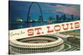 Stretched Canvas Print