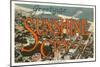 Greetings from Sunshine City, St. Petersburg, Florida-null-Mounted Art Print
