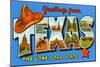 Greetings from Texas-null-Mounted Art Print