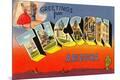Premium Giclee Print