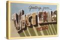 Stretched Canvas Print