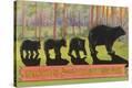 Stretched Canvas Print
