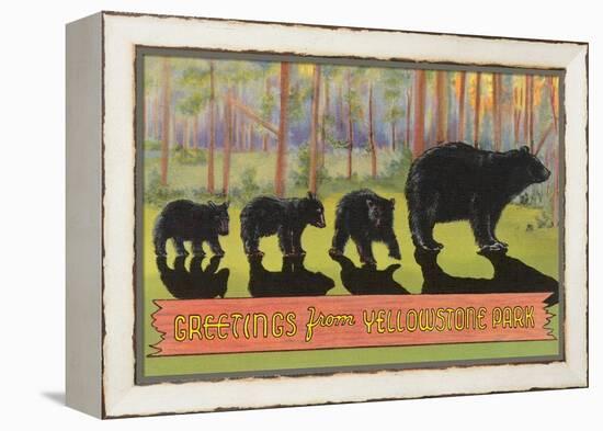 Greetings from Yellowstone National Park, Bears-null-Framed Stretched Canvas