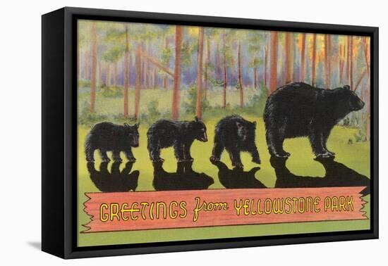 Greetings from Yellowstone National Park, Bears-null-Framed Stretched Canvas