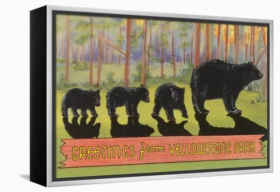 Greetings from Yellowstone National Park, Bears-null-Framed Stretched Canvas