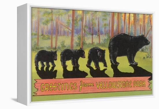 Greetings from Yellowstone National Park, Bears-null-Framed Stretched Canvas