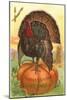 Greetings, Turkey on Pumpkin-null-Mounted Art Print