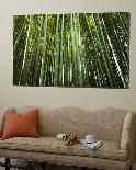 Bamboo Forest, Arashiyama-Sagano District-Greg Elms-Loft Art