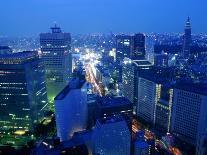 City Skyline from Sky Bar, Park Hyatt Tokyo, Tokyo, Japan-Greg Elms-Photographic Print