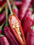 Red Thai Chillies-Greg Elms-Photographic Print