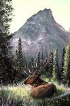 Yellowstone Elk-Greg Farrugia-Giclee Print