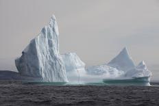 Icebergs, Kings Cove, Newfoundland, Canada-Greg Johnston-Photographic Print