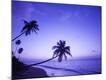 Premium Photographic Print