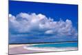 Photographic Print