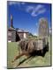 Photographic Print