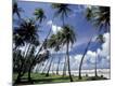 Premium Photographic Print