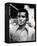 Greg Morris - Mission: Impossible-null-Framed Stretched Canvas