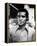 Greg Morris - Mission: Impossible-null-Framed Stretched Canvas